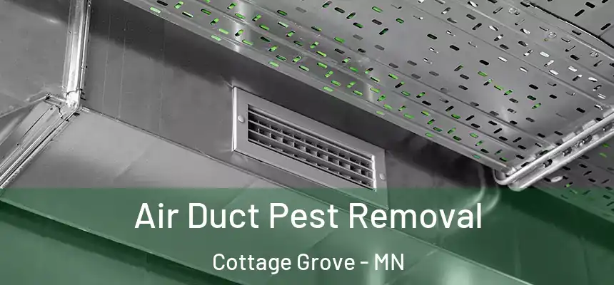 Air Duct Pest Removal Cottage Grove - MN