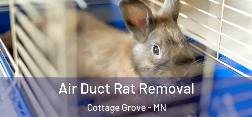  Air Duct Rat Removal Cottage Grove - MN