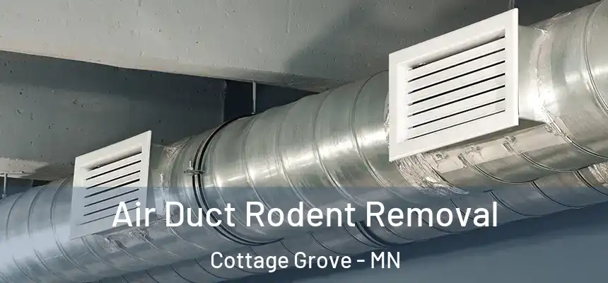  Air Duct Rodent Removal Cottage Grove - MN