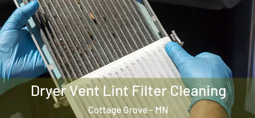 Dryer Vent Lint Filter Cleaning Cottage Grove - MN