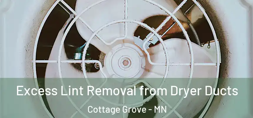 Excess Lint Removal from Dryer Ducts Cottage Grove - MN
