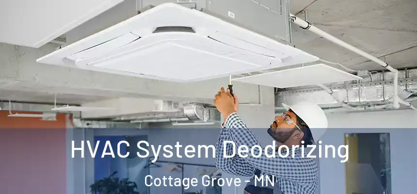  HVAC System Deodorizing Cottage Grove - MN