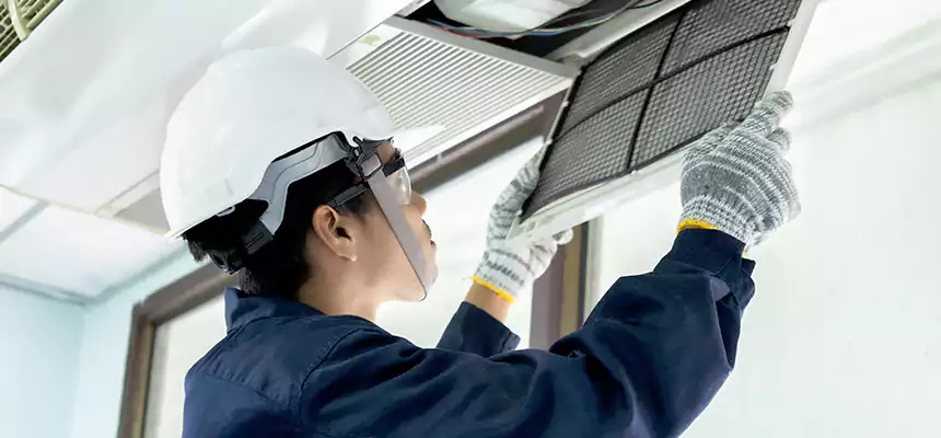 Our Mold & Mildew Removal from Air Ducts Services in Cottage Grove, MN