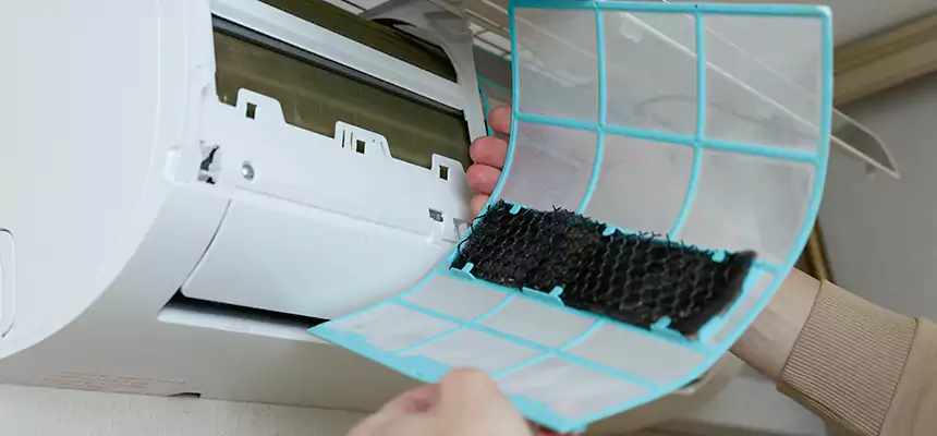 Gentle Ductwork Odor-Control Pet Dander Duct Cleaning in Cottage Grove, MN