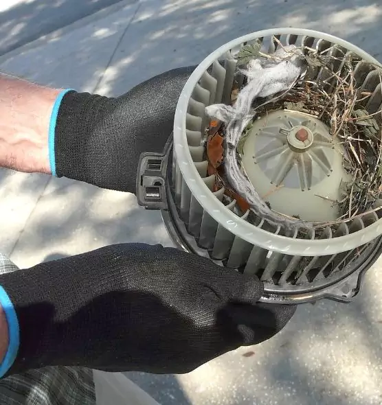 About Air Duct Mice Removal in Cottage Grove, MN