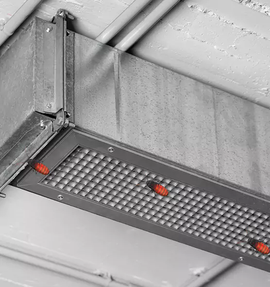 Affordable Insect Removal from Air Ducts in Cottage Grove, MN