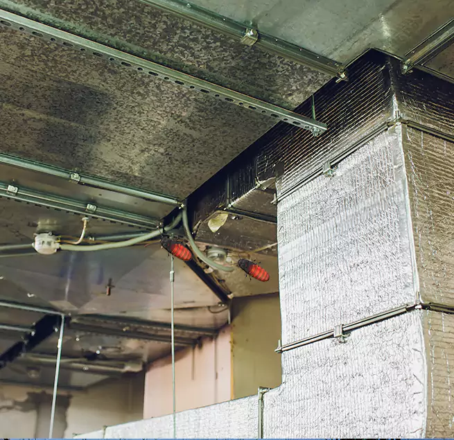 Why Homeowners & Businesses Trust Us in Cottage Grove, MN?