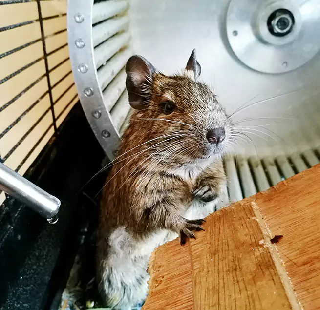 Why Homeowners & Businesses Trust Us Cottage Grove, MN