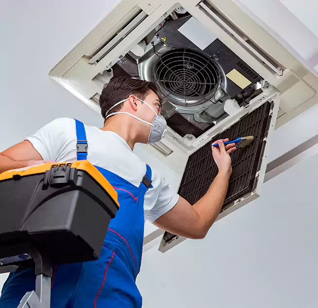 Why Homeowners & Businesses Trust Us in Cottage Grove, MN?